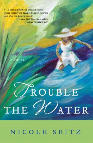 Book cover of Trouble the Water