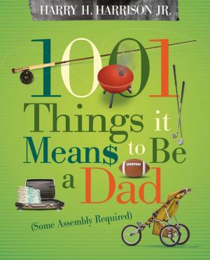 Book cover of 1001 Things it Means to Be a Dad