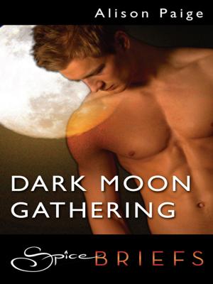 Cover of the book Dark Moon Gathering by Benjamin X. Wretlind