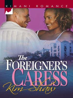 Book cover of The Foreigner's Caress