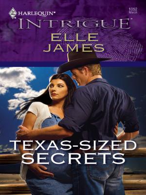 Cover of the book Texas-Sized Secrets by Kathleen O'Reilly