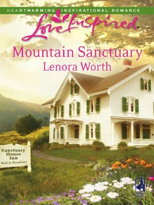 Cover of the book Mountain Sanctuary by Jillian Hart