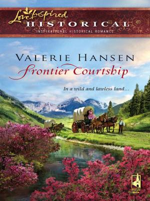 Cover of the book Frontier Courtship by Margaret Daley