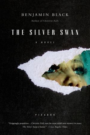 Book cover of The Silver Swan