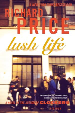 Cover of the book Lush Life by Peter Handke