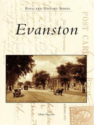 Cover of the book Evanston by Alan Naldrett
