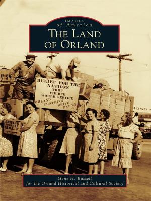 Cover of the book The Land of Orland by Chris Epting