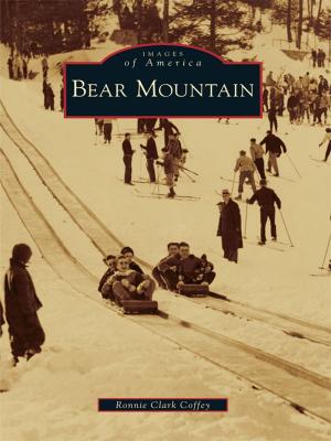Cover of the book Bear Mountain by Monika S. Fleming