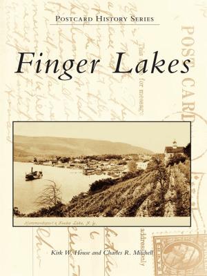 Cover of the book Finger Lakes by Jeff Benziger