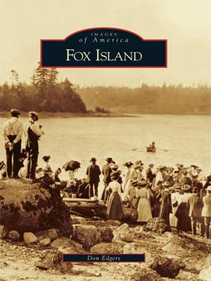 bigCover of the book Fox Island by 