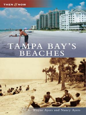 Cover of the book Tampa Bay's Beaches by John H. Slate, Mark Doty
