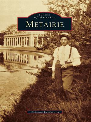 Cover of the book Metairie by Patricia Haesly Worthington