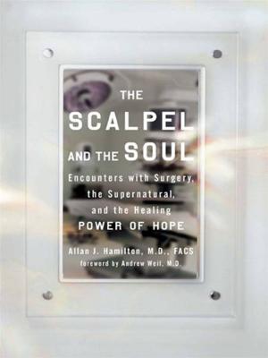 bigCover of the book The Scalpel and the Soul by 