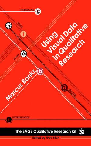 Cover of the book Using Visual Data in Qualitative Research by Professor David L. Rennie