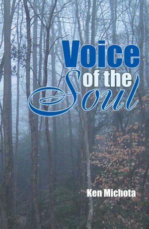 Cover of the book Voice of the Soul by Luz Maria Villanueva