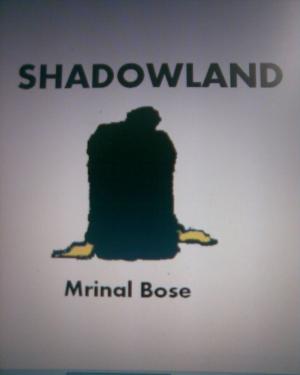 Cover of the book Shadowland by Laurie Dubay