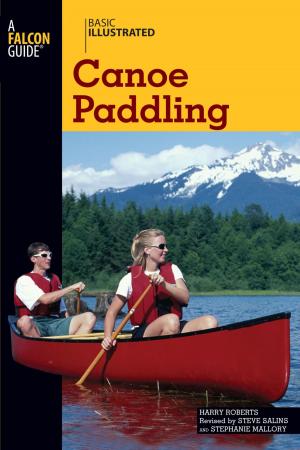 Book cover of Basic Illustrated Canoe Paddling