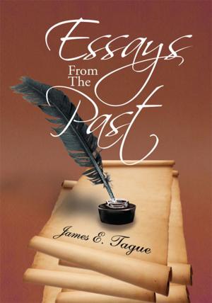 Cover of the book Essays from the Past by Pamela Fox