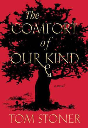 Cover of the book The Comfort of Our Kind by Joseph Sommerville