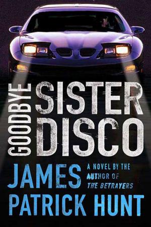 Book cover of Goodbye Sister Disco