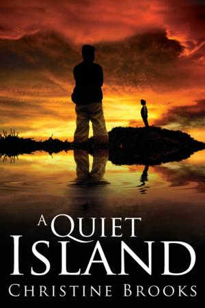 Cover of the book A Quiet Island by Jonathan Dennis