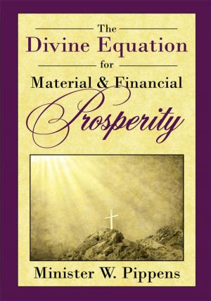 Cover of the book The Divine Equation for Material & Financial Prosperity by Winnie Shields