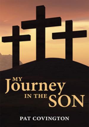 Cover of the book My Journey in the Son by Sarah Katreen Hoggatt