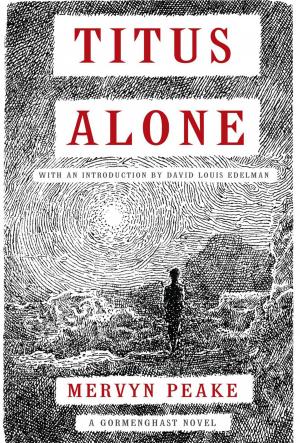 Cover of the book Titus Alone by Edward Carey