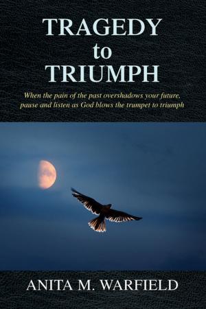Cover of the book Tragedy to Triumph by Victoria Yannuzzi