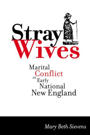 Cover of the book Stray Wives by Paula Johnson, Angela J. Davis