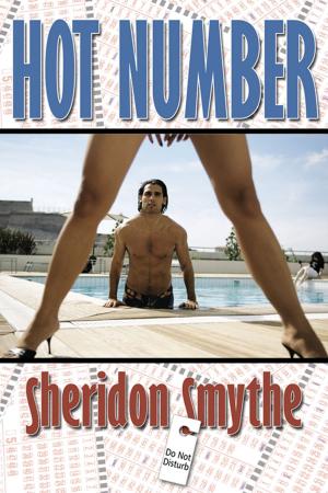 Cover of the book Hot Number by Mark  Rosendorf