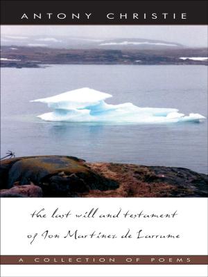 Cover of the book The Last Will and Testament by Gail Weir