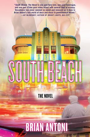 Cover of the book South Beach by Zeruya Shalev
