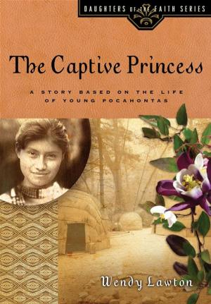 Book cover of The Captive Princess