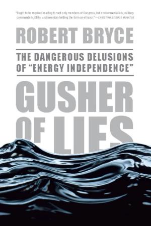 Cover of the book Gusher of Lies by Nicholas Stern