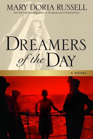 Cover of the book Dreamers of the Day by Alan Iny, Luc De Brabandere