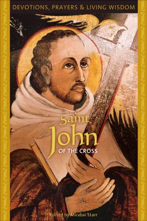 Cover of the book Saint John of the Cross by Len Parsons