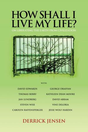 Cover of the book How Shall I Live My Life? by Iain McIntyre