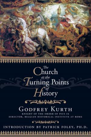 Cover of the book The Church at the Turning Points of History by Andreas Wollbold