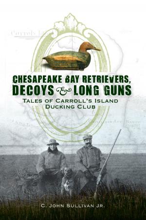 Cover of the book Chesapeake Bay Retrievers, Decoys & Long Guns by Diane Holliday, Chris Kretz