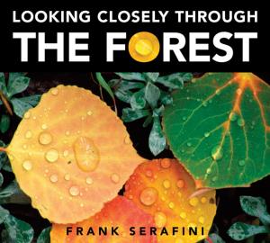 Cover of the book Looking Closely through the Forest by Lana Button