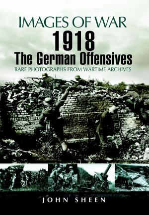 Cover of the book 1918 The German Offensives by Stephen Wade