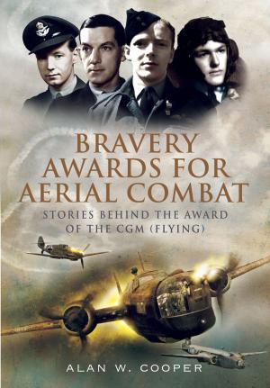 Book cover of Bravery Awards for Aerial Combat