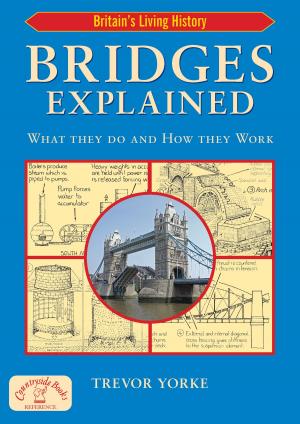Cover of the book Bridges Explained by George Measom