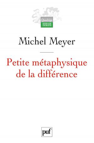 Book cover of Petite métaphysique de la différence