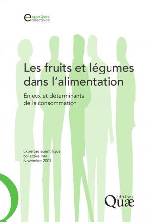 Cover of the book Les fruits et légumes dans l'alimentation by Denis Michaud, Jean Ritter, Benoit Deffontaines, Jean-Pierre Deffontaines
