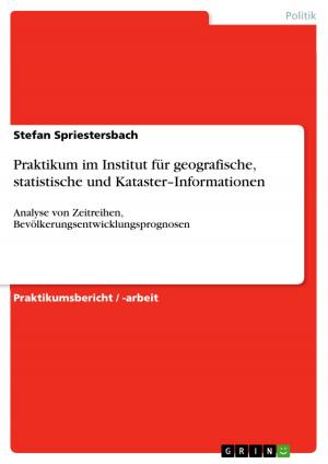 Cover of the book Praktikum im Institut für geografische, statistische und Kataster-Informationen by Miriam Volkmann