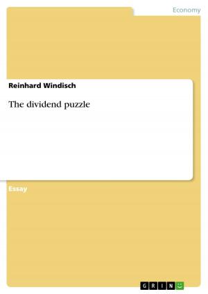 Cover of the book The dividend puzzle by Sabrina Zabel