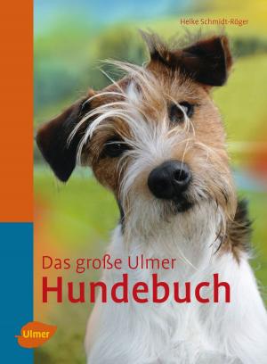 Cover of the book Das große Ulmer Hundebuch by Peter Hagen, Martin Haberer
