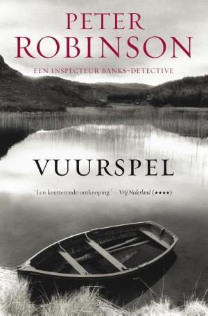 Cover of the book Vuurspel by Emile Verhaeren